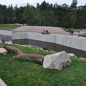 New brown bear exhibit -Borås Zoo