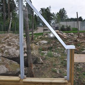 New brown bear exhibit -Borås Zoo