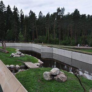 New brown bear exhibit -Borås Zoo