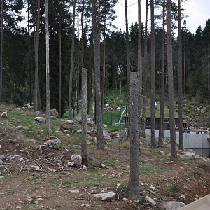 New brown bear exhibit -Borås Zoo