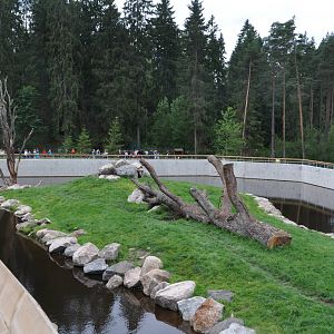 New brown bear exhibit -Borås Zoo