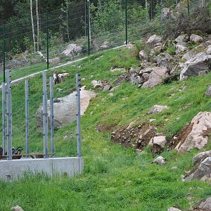 New part of wolf exhibit -Borås Zoo
