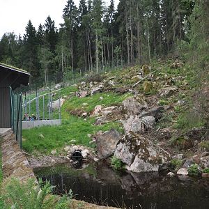 Wolf exhibit -Borås Zoo