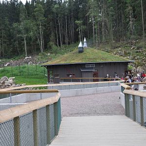 New brown bear exhibit -Borås Zoo