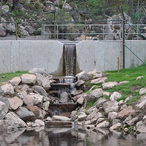 New brown bear exhibit -Borås Zoo