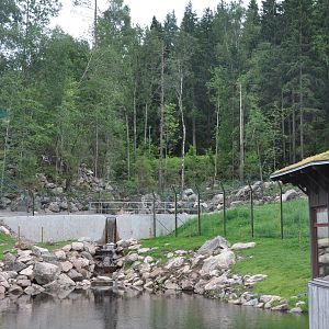 New brown bear exhibit -Borås Zoo