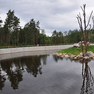 New brown bear exhibit -Borås Zoo