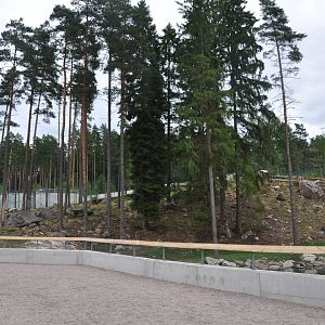 New brown bear exhibit -Borås Zoo
