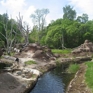 Furuvik - Chimpanzee exhibit