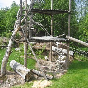 Furuvik - Chimpanzee exhibit