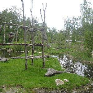 Furuvik - Orangutan exhibit
