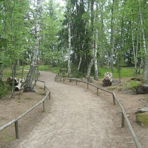 Furuvik - Kangaroo safari