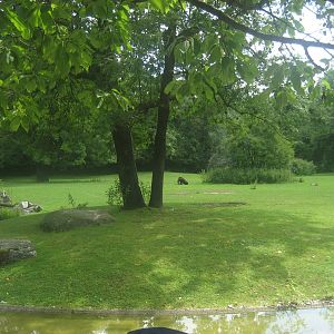 Munich Zoo - South America