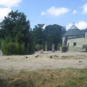 Munich Zoo - Elephant exhibit