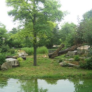 Munich Zoo - Lion exhibit