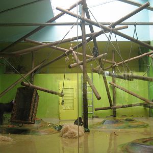 Munich Zoo - Mandrill exhibit