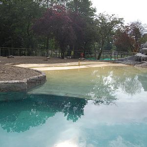 New penguin pool