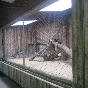 Munich Zoo - Tiger indoor exhibit