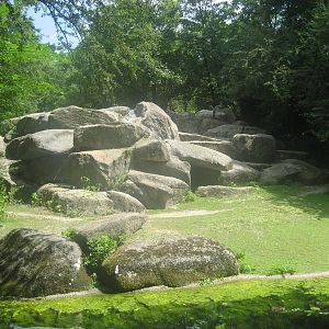 Munich Zoo - Ibex exhibit