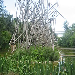 Munich Zoo - Monkey islands
