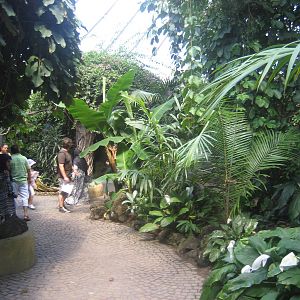 Munich Zoo - Jungle tent