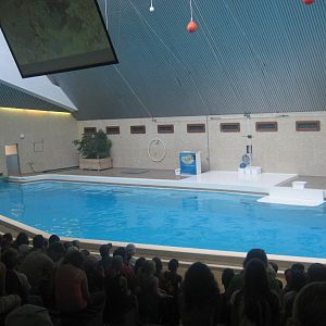 Nürnberg Zoo - Dolphinarium