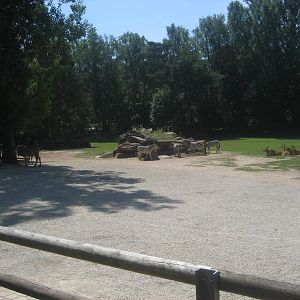 Nürnberg Zoo - Savannah
