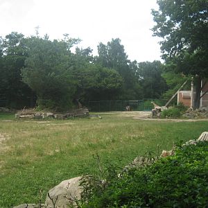 Nürnberg Zoo - Giraffe exhibit