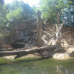 Nürnberg Zoo - Baboon exhibit