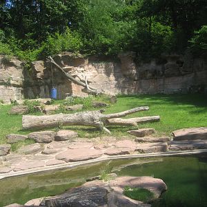 Nürnberg Zoo - Polar bear exhibit