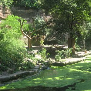 Nürnberg Zoo - Tiger exhibit