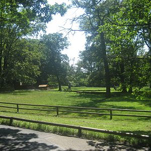 Nürnberg Zoo - Deer exhibit
