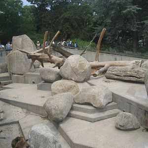 Wilhelma Zoo - Gelada/Barbary sheep exhibit
