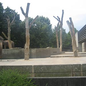 Wilhelma Zoo - Elephant exhibit