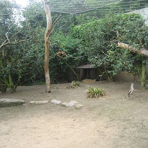 Wilhelma Zoo - Aviary