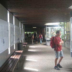 Wilhelma Zoo - Aquarium/Vivarium