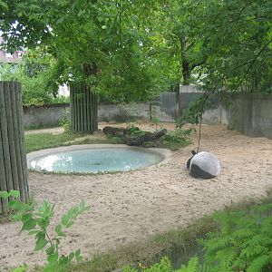 Wilhelma Zoo - Tapir exhibit