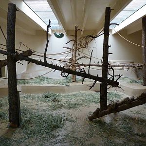 Lion-Tailed Macaque Exhibit - Indoor Area