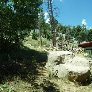 Gorilla - Outdoor Exhibit