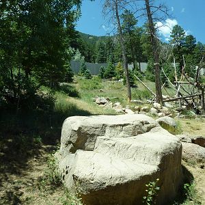 Gorilla - Outdoor Exhibit