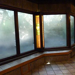 Orangutan/Chimpanzee Complex - Fogged Up Windows