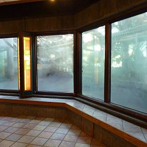 Orangutan/Chimpanzee Complex - Fogged Up Windows