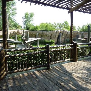 Chimpanzee Exhibit - Viewing Platform