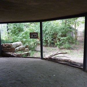 Australia - Cassowary Enclosure