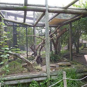 Australia - Walk-Through Aviary Enclosure
