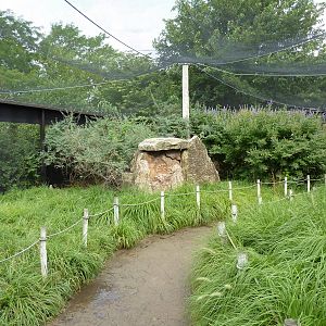 Australia - Walk-Through Aviary