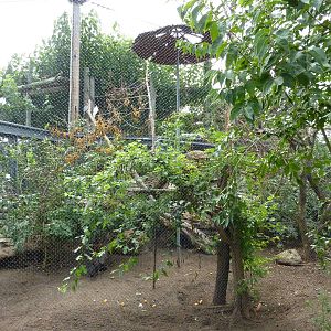 Australia - Walk-Through Aviary