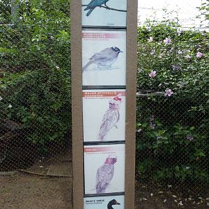 Australia - Walk-Through Aviary Signage