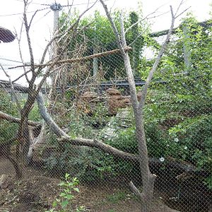 Australia - Walk-Through Aviary