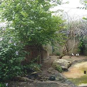 Australia - Walk-Through Aviary